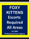 Foxy Kittens 3